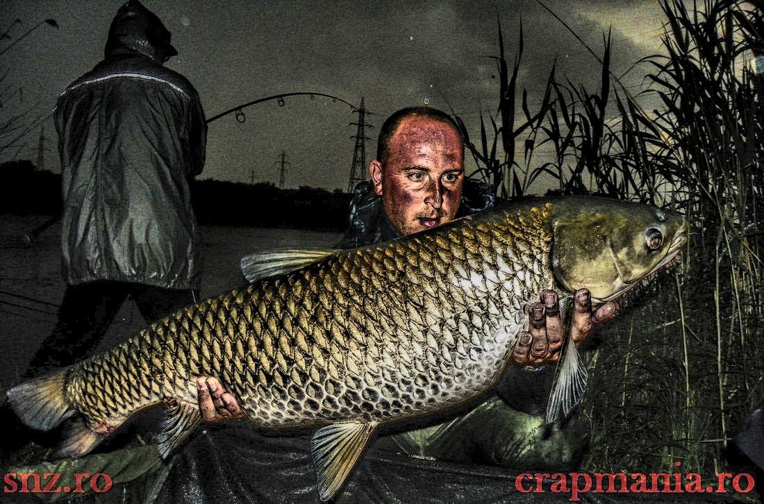 Crapmania (3) - 2013 - 1011270hdrmode2.JPG